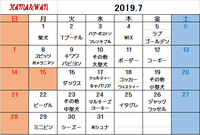 7月犬種別割引カレンダー♪ 2019/07/01 17:44:07