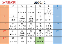 12月ドッグラン犬種別カレンダー 2020/11/29 09:00:17