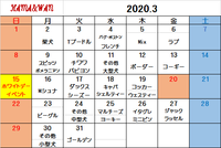 3月犬種別割引カレンダー 2020/02/29 09:31:40