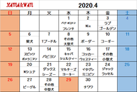 4月ドッグラン犬種別割引カレンダー 2020/04/02 15:32:24
