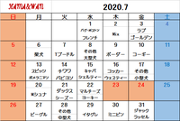 7月犬種別割引カレンダー♪ 2020/06/30 13:17:01