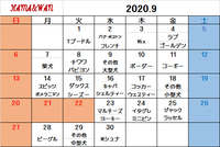 9月のドッグラン犬種別割引カレンダー♪ 2020/08/28 13:00:09