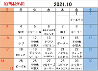 10月ドッグラン犬種別割引カレンダー 2021/09/30 11:35:34