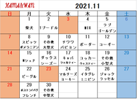 11月ドッグラン犬種別割引カレンダー 2021/10/24 11:34:19