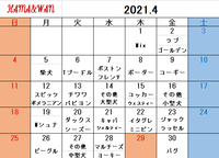 4月ドッグラン犬種別割引カレンダー 2021/03/30 09:20:25