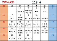 6月犬種別割引カレンダー 2021/05/25 09:45:46