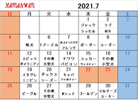 7月ドッグラン犬種別割引カレンダー 2021/06/28 14:10:26