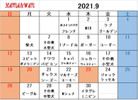 9月ドッグラン犬種別割引カレンダー 2021/08/28 16:39:02