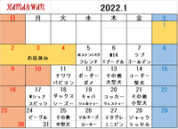 1月ドッグラン犬種別割引カレンダー 2021/12/28 16:02:09