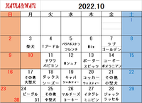 10月ドッグラン犬種別割引カレンダー 2022/09/27 09:31:18