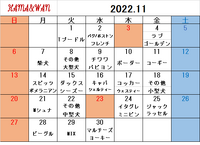 11月ドッグラン犬種別割引カレンダー 2022/10/29 16:39:03