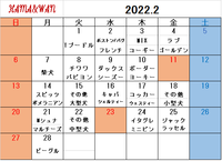 2月ドッグラン犬種別割引カレンダー♪ 2022/01/27 09:17:29