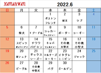 6月犬種別割引カレンダー 2022/05/27 16:46:49