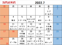 7月ドッグラン犬種別割引カレンダー 2022/06/27 09:41:18