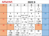 9月ドッグラン犬種別割引カレンダー 2022/08/28 16:54:13