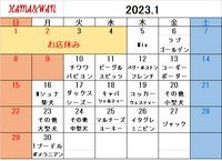 1月ドッグラン犬種別割引カレンダー 2023/01/06 15:17:50
