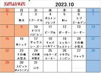 10月ドッグラン犬種別割引カレンダー 2023/09/29 15:11:29