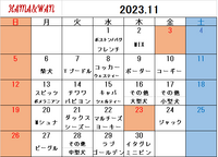 11月ドッグラン犬種別割引カレンダー 2023/10/24 16:44:05
