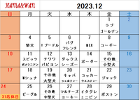 12月ドッグラン犬種別割引カレンダー 2023/11/30 17:07:17