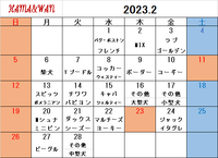 2月ドッグラン犬種別割引カレンダー♪ 2023/01/27 09:33:06