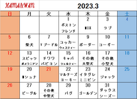 3月ドッグラン犬種別割引カレンダー 2023/02/28 09:05:06