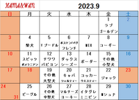 9月ドッグラン犬種別割引カレンダー 2023/08/31 10:05:53