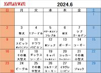 6月ドッグラン犬種別割引カレンダー 2024/05/27 16:29:19