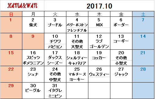 10月犬種別割引カレンダー♪