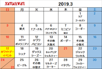 3月犬種別割引カレンダー 2019/03/03 16:58:56