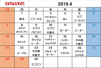 4月ドッグラン犬種別割引カレンダー 2019/03/30 17:20:46