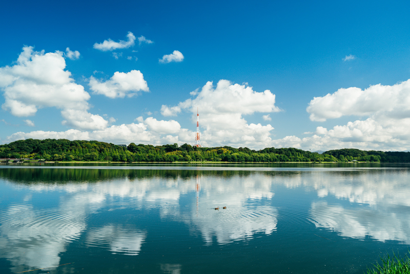 梅雨入り前の佐鳴湖