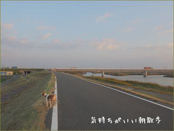 きもちがいいね。