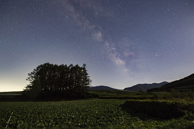 唐松林がある丘　星空