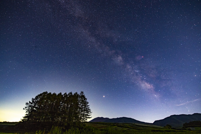 唐松林がある丘　星空