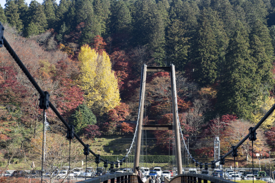 大井平の紅葉　