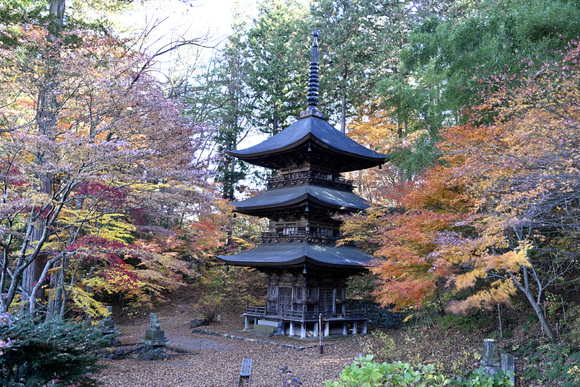 貞祥寺の紅葉