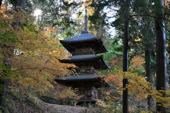 貞祥寺の紅葉