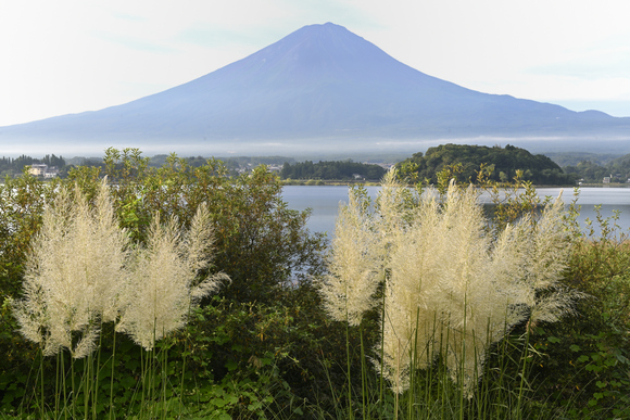 河口湖大石公園　富士山