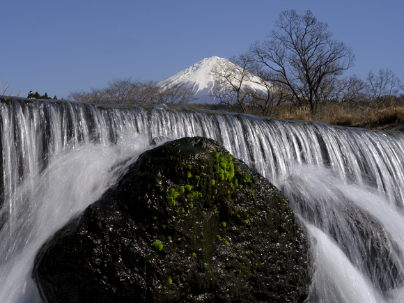 桜と富士山いろいろ