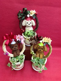 トピアリー　クリスマスver 2013/12/08 15:38:15