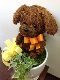 トピアリー　茶色犬ver. 2013/05/15 17:24:59