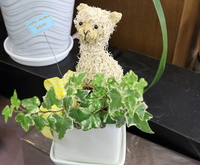 新作！！ 2013/01/07 18:58:01
