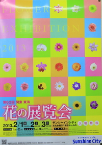 第６２回　関東東海　花の展覧会 2013/01/12 18:27:15