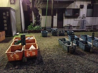 危険物 2013/12/03 18:37:45
