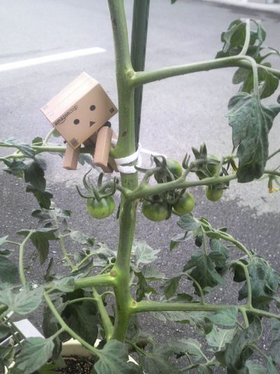 ダンボーと社長の大好物
