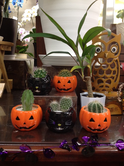 ハロウィンに向けて・・・☆