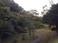 朝の佐鳴湖公園