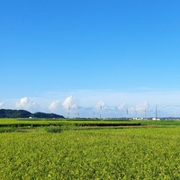 おはよう 土曜日 2022/07/30 08:24:52