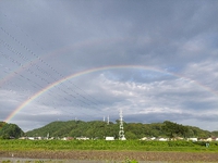 虹 2022/07/15 17:48:56