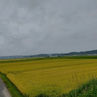おはよう 火曜日 2022/08/16 07:39:53